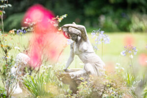 Tranquil Garden