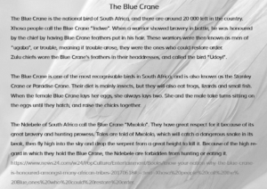 The Story of the Blue Crane